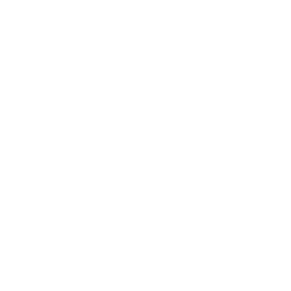 Marialice Tagliavini