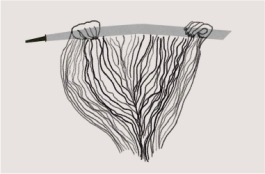 Marialice Tagliavini