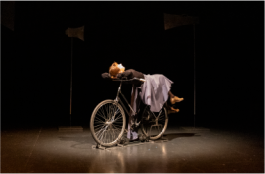 Marialice Tagliavini