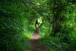 Marialice Tagliavini