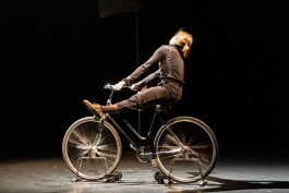 Marialice Tagliavini